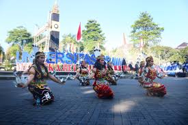 Kehidupan Kampus di Universitas Brawijaya, Dari Organisasi Sampai UKM